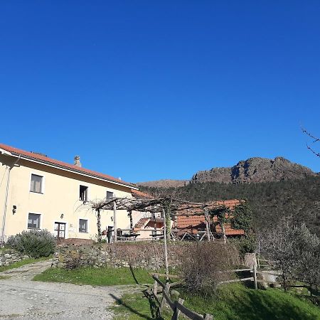 Villa Agriturismo Grilla Mele Exterior foto