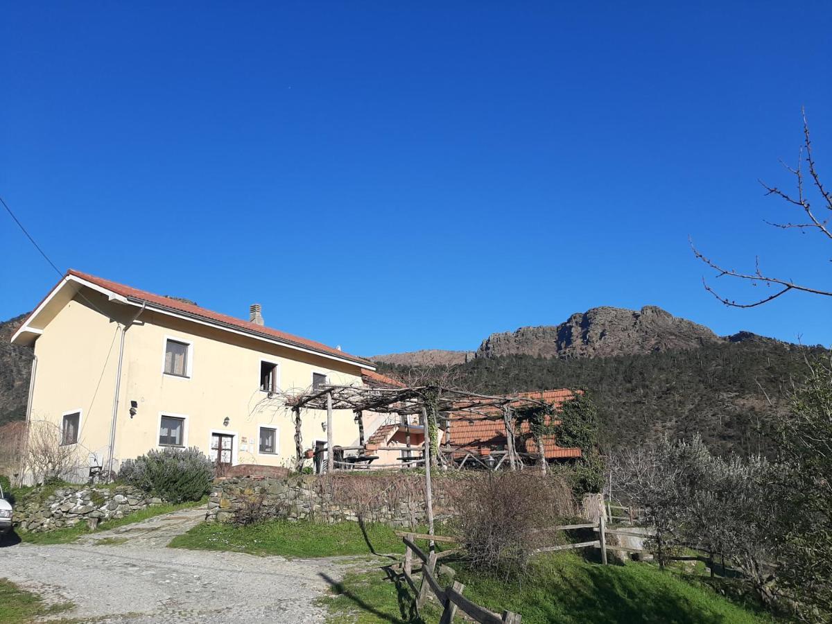 Villa Agriturismo Grilla Mele Exterior foto